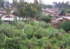aethiopien_addis_abeba_2.jpg