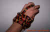 annulata_1.jpg (362436 Byte)