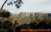 australien_habitat1.jpg (41033 Byte)