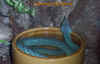 boulengeri_6.jpg (493840 Byte)