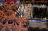china_7.jpg (813469 Byte)