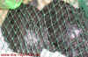 china_8.jpg (874584 Byte)