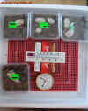 geburt_inkubatori_1.jpg (720297 Byte)