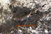 griechenland_4.jpg (1339232 Byte)