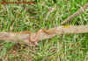 kambodscha_2.jpg (879863 Byte)