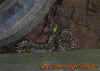 kambodscha_5.jpg (455436 Byte)