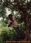 kenia_3.jpg (47673 Byte)