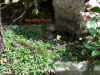 laos_4.jpg (1351721 Byte)