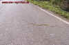 laos_7.jpg (1637967 Byte)