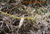 laos_9.jpg (1440181 Byte)