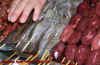 nahrung_5.jpg (681706 Byte)
