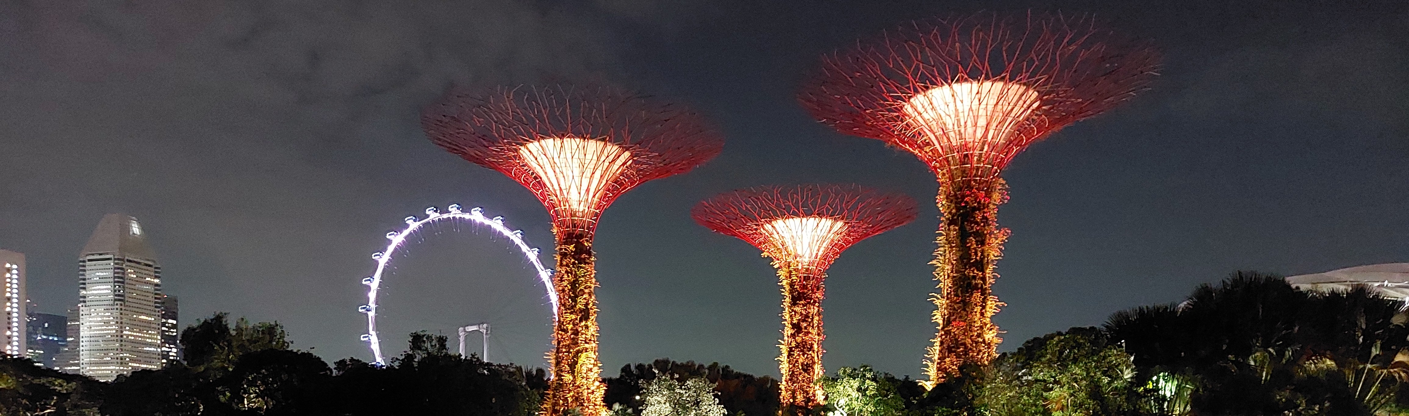 singapur butto