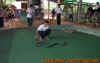 thailand_13.jpg (492465 Byte)