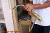 vietnam_2.jpg (504956 Byte)