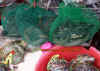vietnam_8.jpg (973702 Byte)